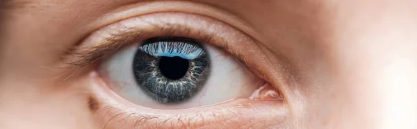 Close up view of human blue clear eye looking at camera, panoramic shot — Stock Photo