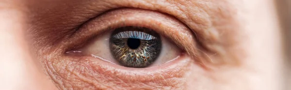 Close up view of human eye with wrinkles around looking at camera, panoramic shot — Stock Photo