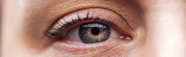 Close up view of human eye looking at camera, panoramic shot — Stock Photo