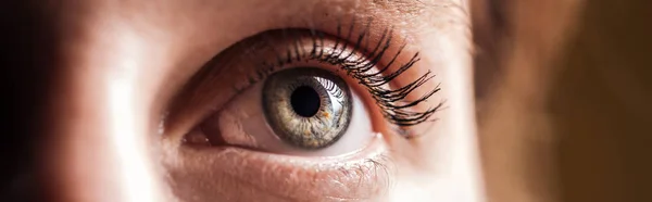 Close up view of human grey eye looking away, panoramic shot — Stock Photo