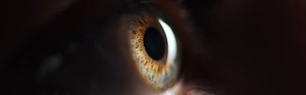 Close up view of human colorful eye in darkness, panoramic shot — Stock Photo