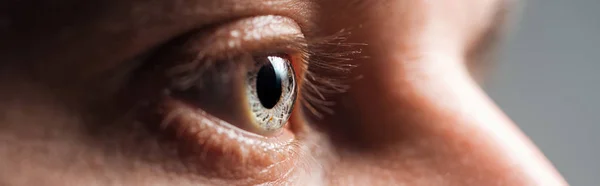 Close up view of human eye looking away, panoramic shot — Stock Photo