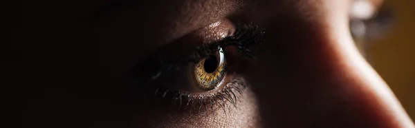 Крупним планом вид людського ока в темному, панорамному пострілі — стокове фото