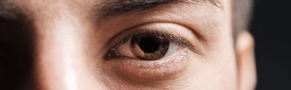 Nahaufnahme des menschlichen braunen Auges beim Anblick der Kamera, Panoramaaufnahme — Stockfoto