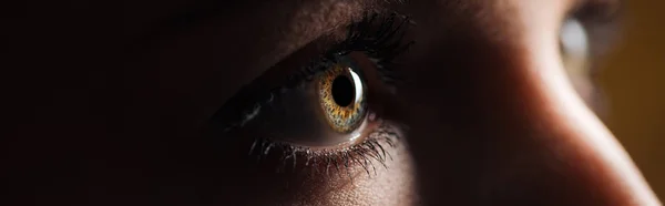 Крупный план человеческого коричневого глаза, глядящего в сторону в темном, панорамном снимке — стоковое фото