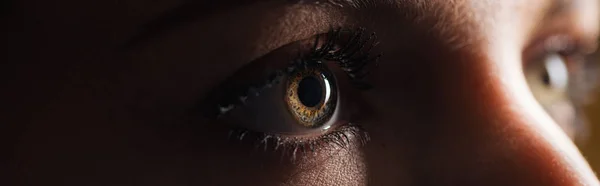 Vista ravvicinata dell'occhio marrone umano che distoglie lo sguardo nel buio, colpo panoramico — Foto stock