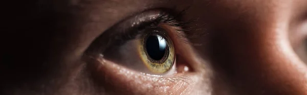 Close up view of human green clear eye looking away in dark, panoramic shot — Stock Photo