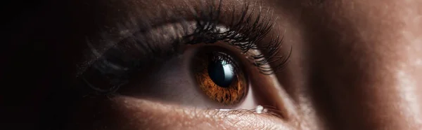 Vista de cerca del ojo marrón humano con pestañas largas mirando hacia otro lado en un plano oscuro y panorámico - foto de stock