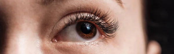 Close up view of human brown eye with long eyelashes looking away, panoramic shot — Stock Photo