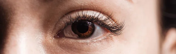 Vue rapprochée de l'œil brun humain avec de longs cils regardant la caméra, prise de vue panoramique — Photo de stock