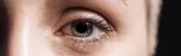 Close up view of human grey eye looking at camera, panoramic shot — Stock Photo