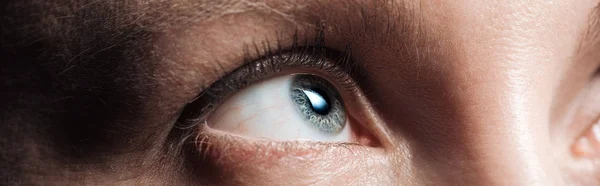 Close up view of human grey eye looking away, panoramic shot — Stock Photo