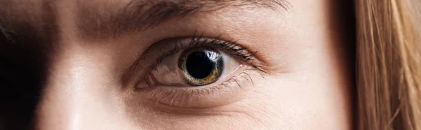 Vista ravvicinata dell'occhio umano che guarda la fotocamera, scatto panoramico — Foto stock