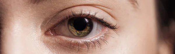 Close up view of human eye looking at camera, panoramic shot — Stock Photo