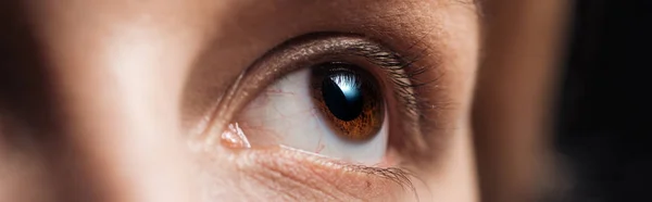 Close up view of human eye looking away, panoramic shot — Stock Photo