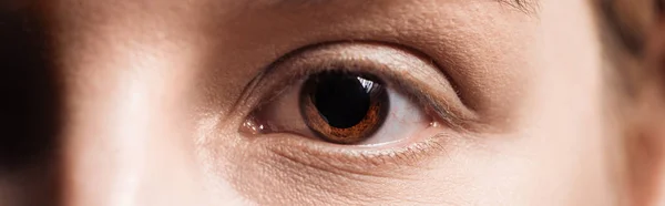 Vista de cerca del ojo marrón humano mirando a la cámara, plano panorámico - foto de stock