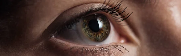 Vista de cerca del ojo verde humano mirando hacia otro lado en un plano oscuro y panorámico - foto de stock