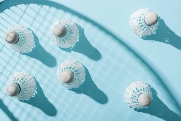 Vista dall'alto di navette con piume vicino ombra di racchetta badminton su blu — Foto stock