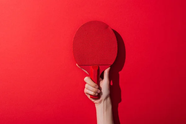 Vista recortada de la mujer sosteniendo raqueta de ping pong en rojo - foto de stock