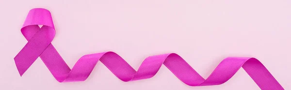 Panoramic shot of long purple ribbon isolated on light pink — Stock Photo