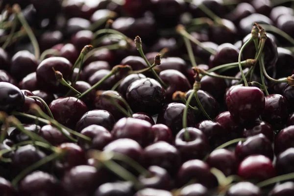 Enfoque selectivo de cerezas maduras, frescas, enteras y dulces - foto de stock