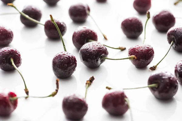 Foyer sélectif de cerises fraîches, entières et mûres recouvertes de gouttelettes — Photo de stock