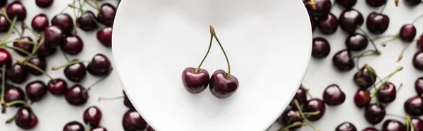 Tiro panorâmico de cerejas frescas, doces e vermelhas na placa branca — Fotografia de Stock