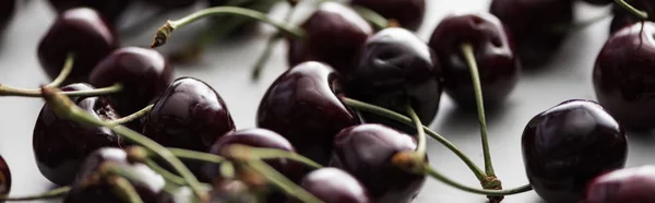 Panoramic shot of fresh, sweet and ripe cherries on white background — Stock Photo