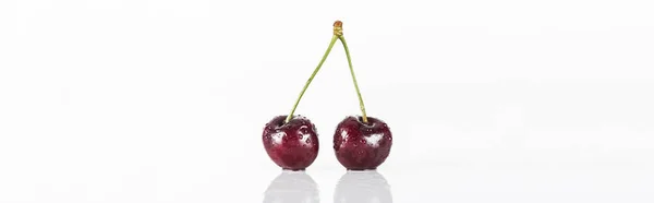 Plan panoramique de cerises fraîches, sucrées, rouges et mûres recouvertes de gouttes d'eau — Photo de stock