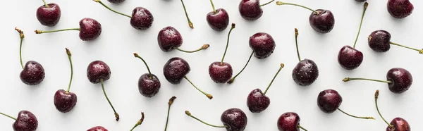 Panoramic shot of fresh, sweet, red and ripe cherries with droplets on white background — Stock Photo