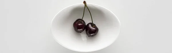 Panoramic shot of fresh, sweet, red and ripe cherries with droplets on bowl — Stock Photo