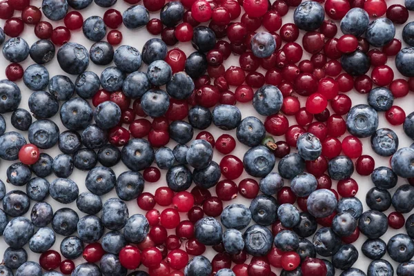 Top view of red, fresh and ripe cranberries and whole blueberries — Stock Photo
