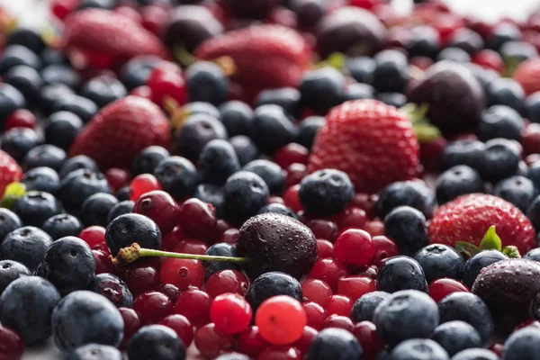 Selective focus of red, fresh and ripe cranberries, strawberries, blueberries and wet cherries — Stock Photo