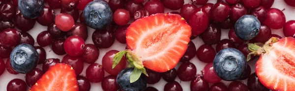 Plano panorámico de arándanos rojos, frescos y maduros, fresas cortadas y arándanos enteros - foto de stock
