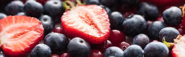 Panoramic shot of fresh and ripe cranberries, cut strawberries and whole blueberries — Stock Photo