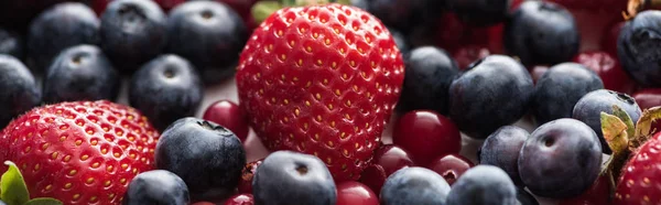 Coup panoramique de canneberges rouges, fraîches et mûres, de fraises et de bleuets entiers — Photo de stock