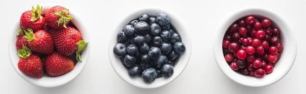 Plan panoramique de fraises fraîches et mûres, de bleuets et de canneberges sur des bols — Photo de stock