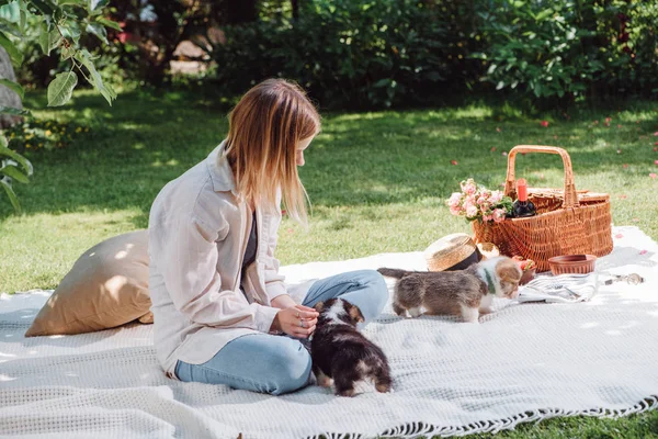 Chica rubia sentada en una manta blanca en el jardín y haciendo un picnic en un día soleado con lindos cachorros - foto de stock