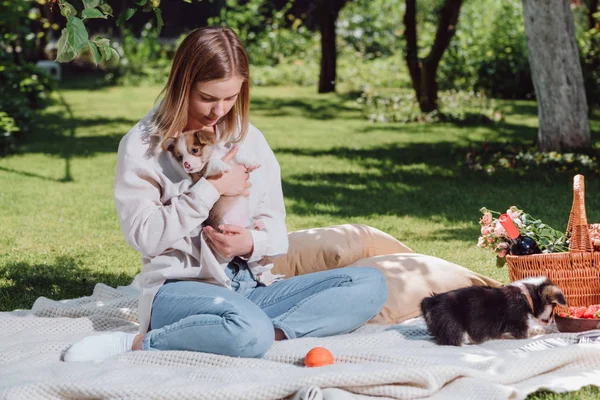 Attractive blonde girl sitting on white blanket in garden with cute welsh corgi puppies — Stock Photo