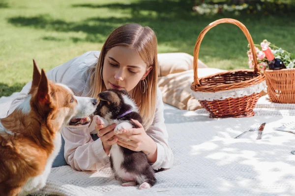 Menina loira atraente sentado no cobertor branco no jardim com filhote de cachorro corgi galês bonito e cão perto de cestas de vime — Fotografia de Stock