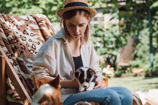Блондинка в солом'яному капелюсі тримає цуценя біля валлійського коргі собаки, сидячи в стільці на палубі в саду — стокове фото