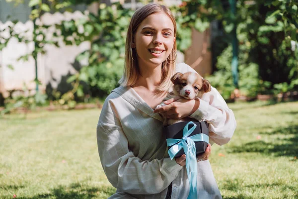 Felice ragazza bionda con cucciolo di corgi gallese in confezione regalo con nastro blu — Foto stock