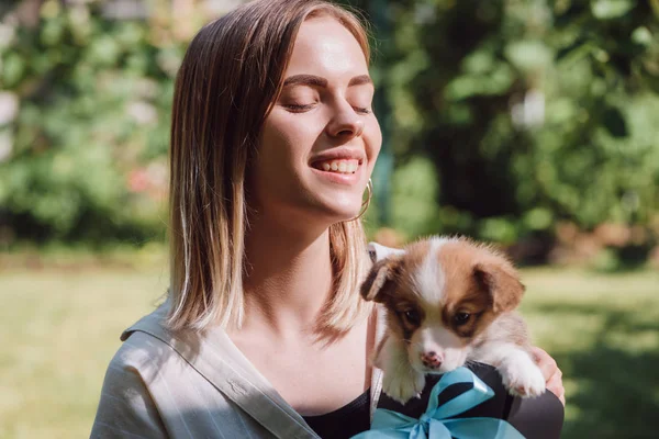 Happy blonde girl with closed eyes holding welsh corgi puppy in gift box with blue ribbon — Stock Photo