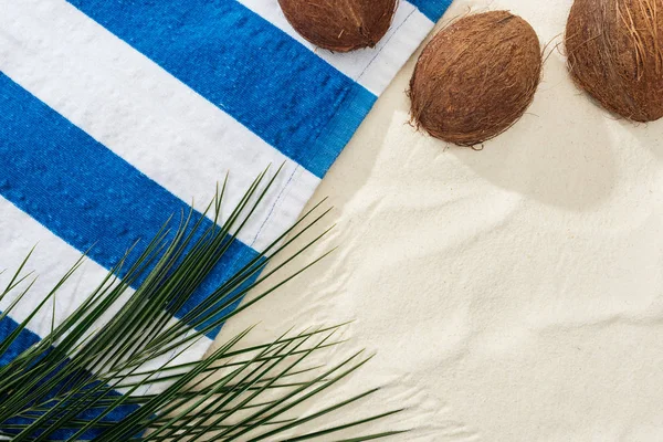 Top view of palm leaves, coconuts and striped towel on sand — Stock Photo