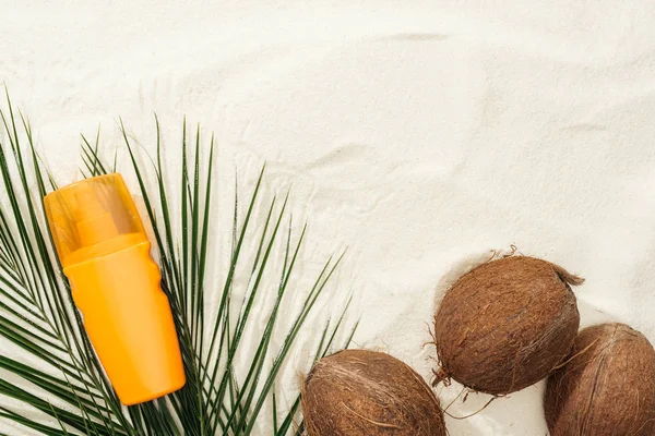 Vue de dessus des feuilles de palmier, noix de coco et crème solaire sur le sable — Photo de stock
