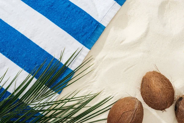 Hojas de palma verde, cocos y toalla rayada sobre arena - foto de stock