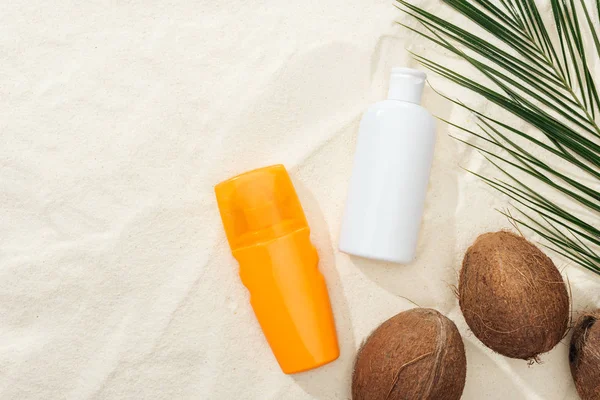 Vue du dessus des feuilles de palmier, des noix de coco et des produits de protection solaire sur sable — Photo de stock