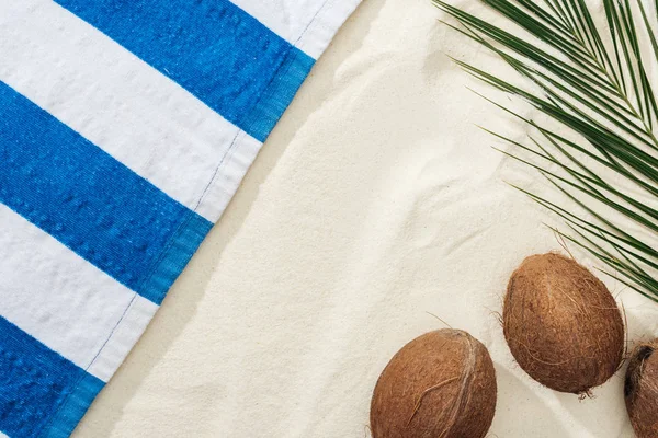 Vista superior de folha de palma, cocos e toalha listrada na areia — Fotografia de Stock