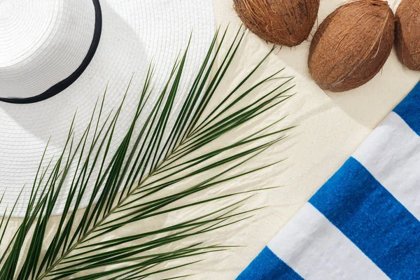 Vista superior de la hoja de palma, toalla rayada, cocos y sombrero de paja blanca en la arena - foto de stock