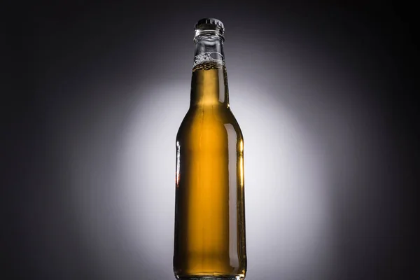 Низький кут зору скляної пляшки з пивом на темному фоні з заднім світлом — стокове фото